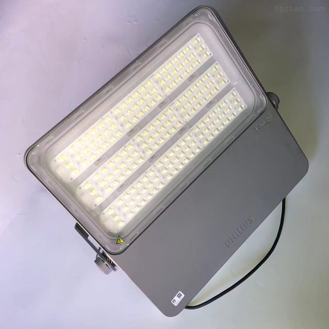 飞利浦LED投光灯BVP431/100W-环保在线